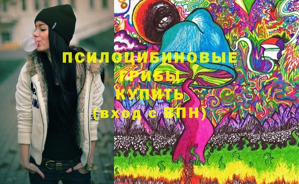 a pvp Вязники