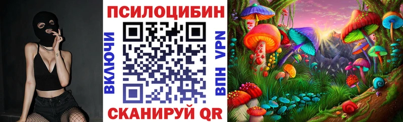 Галлюциногенные грибы Cubensis Дальнереченск