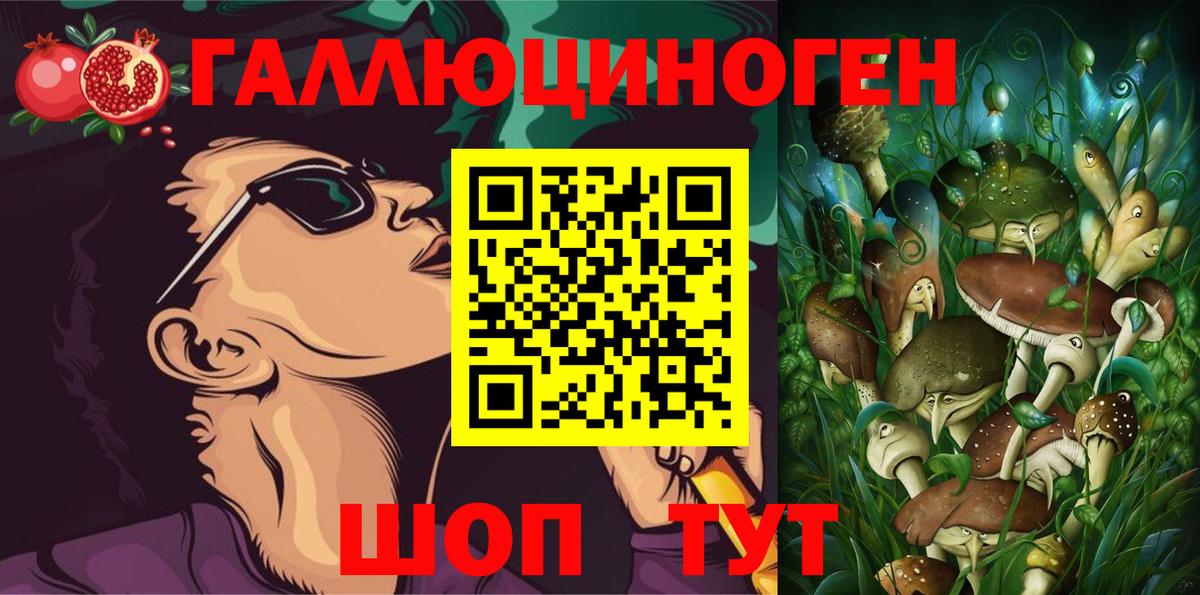 Дальнереченск  Псилоцибиновые грибы Psilocybine cubensis  Вход с VPN 